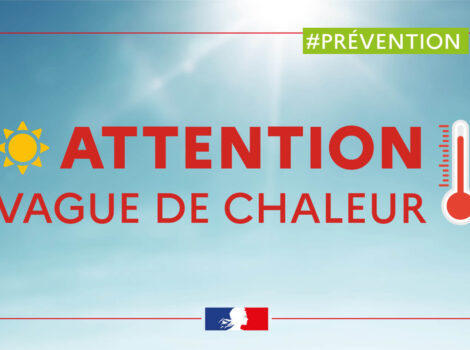 PLAN CANICULE