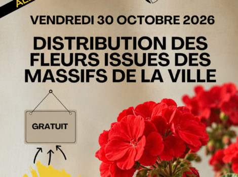 Distribution des fleurs issues des massifs de la ville